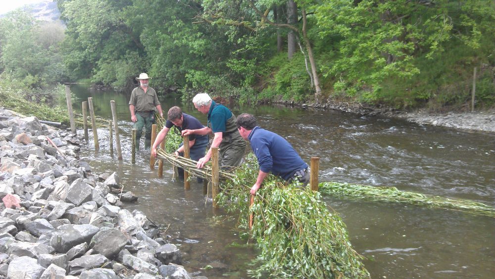 conservation-activities-conserving-coniston-crake