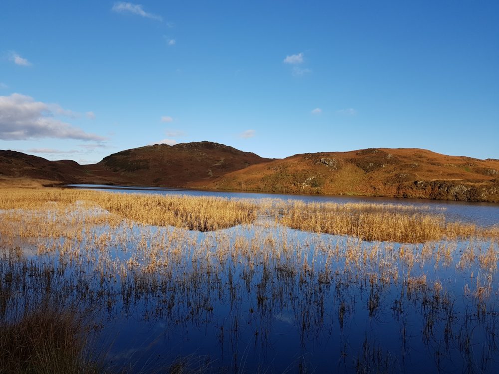 Blawith Common & Beacon Tarn Walk - Conserving Coniston & Crake